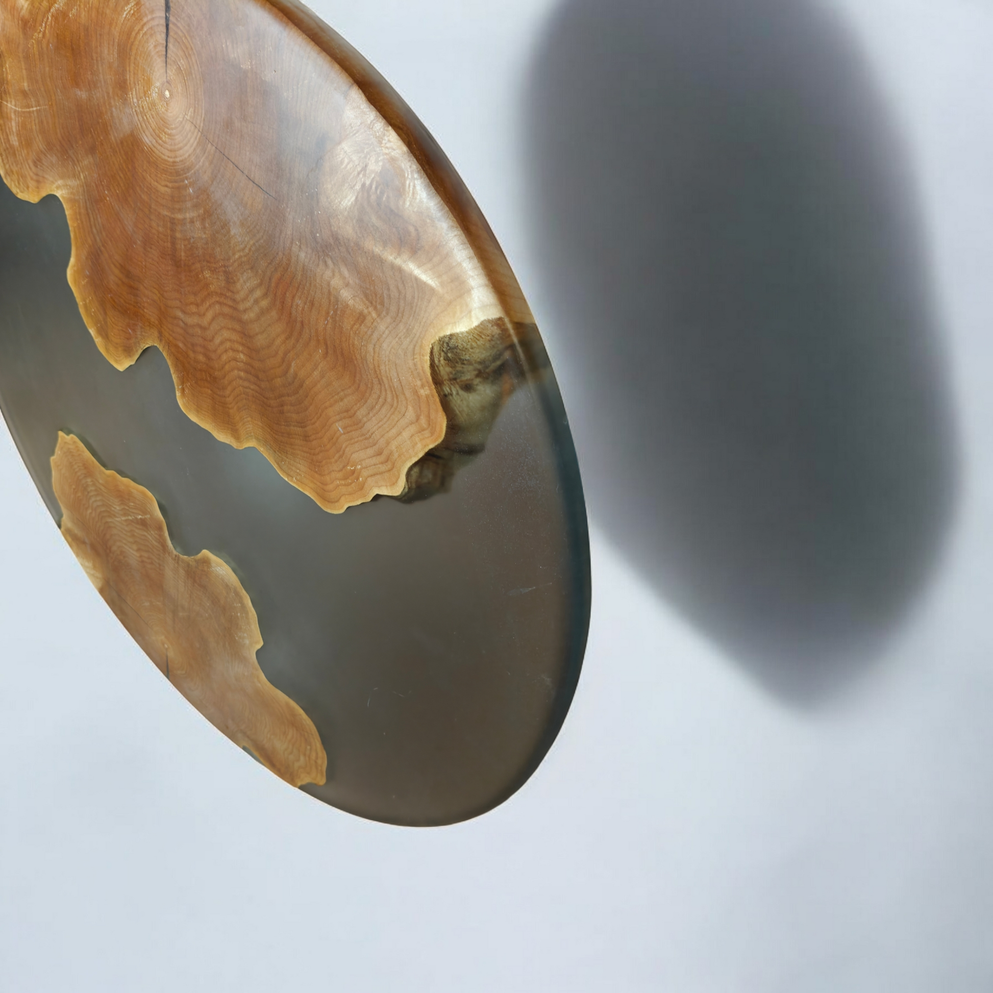 1/1 Maple Burl coffee table/wall art